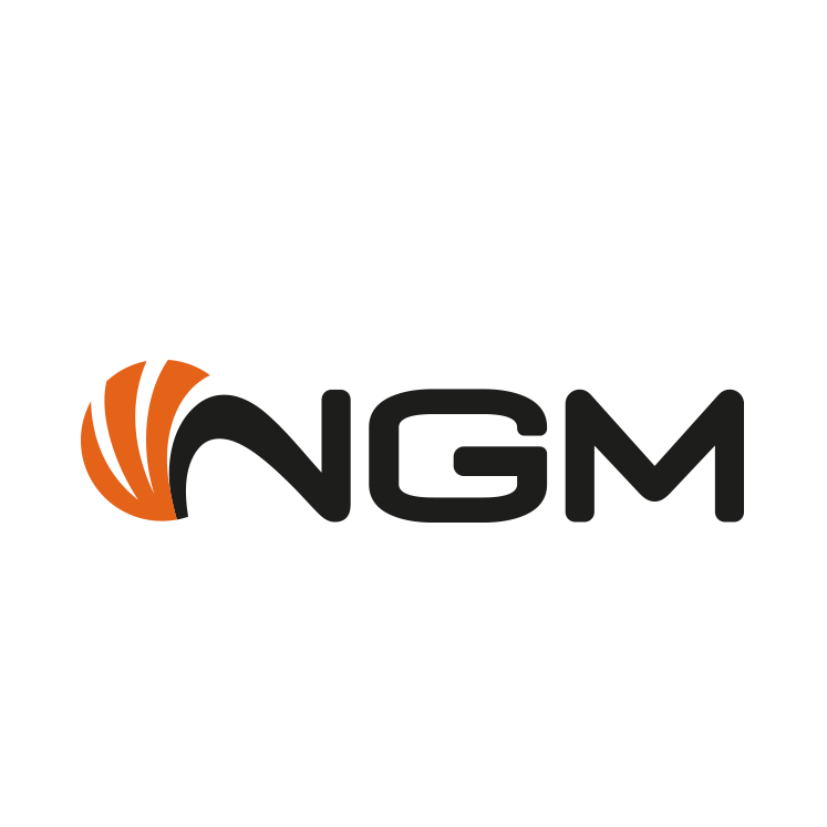 Logo NGM Italia